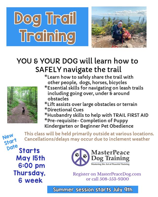 dog trail training