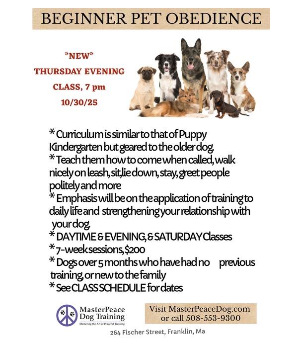 Beginner Pet
