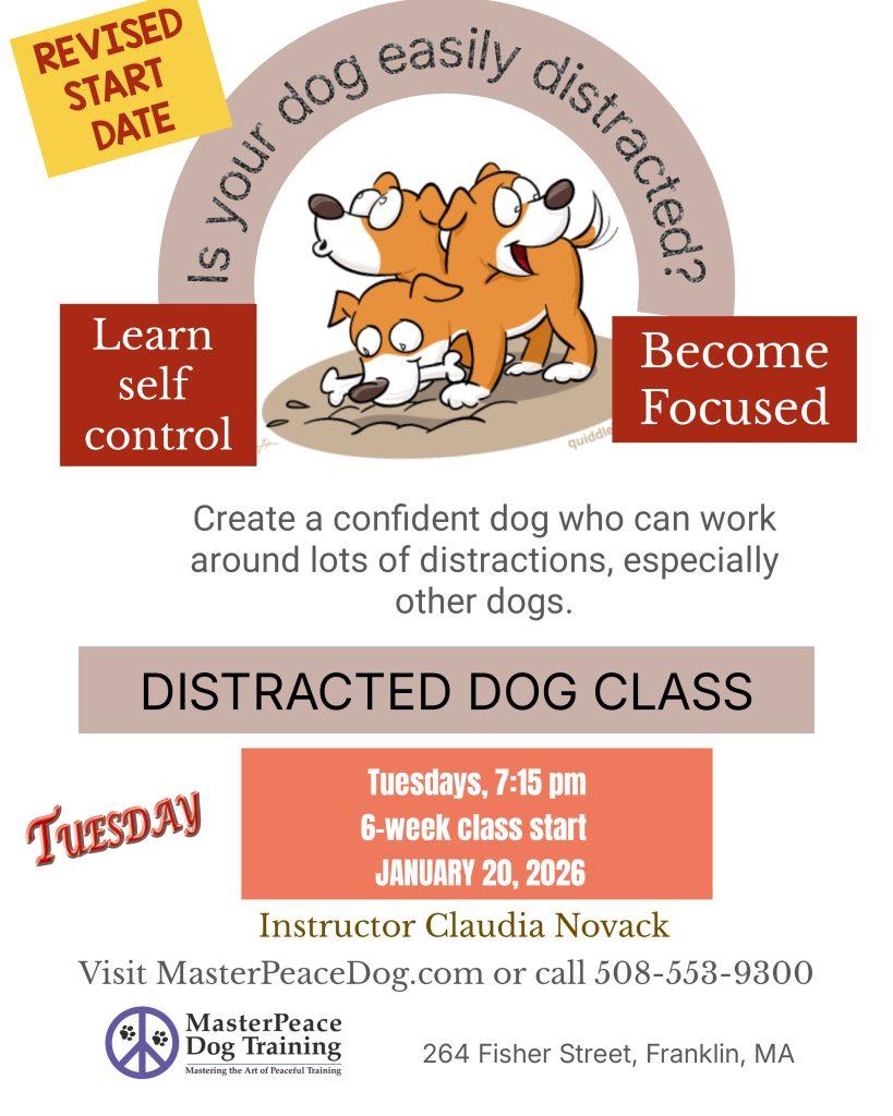 Distracted Revised Jan 20 2026